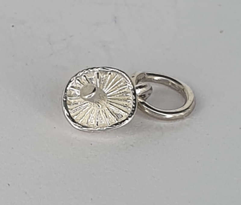 Mushroom CHARM!