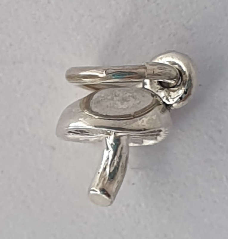 Mushroom CHARM!
