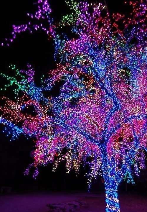 * 16 TO GO* 16 LED SOLAR FAIRY LIGHTS MULTI
