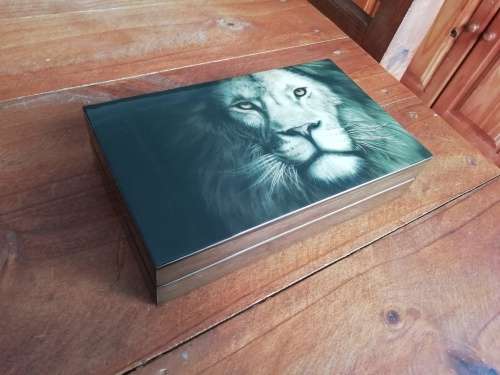 2019 Lion Double Capsule Proof Set