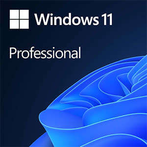 Office 2021 Pro + Windows 11 Pro