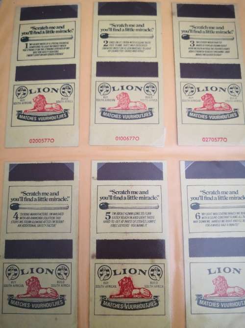 Lion Springbok Matchbox Collection