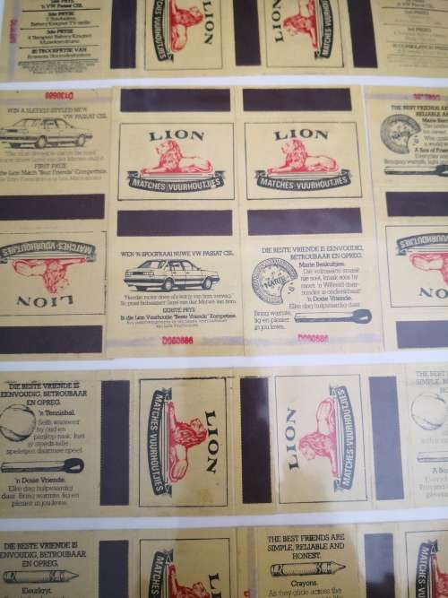 Lion Springbok Matchbox Collection