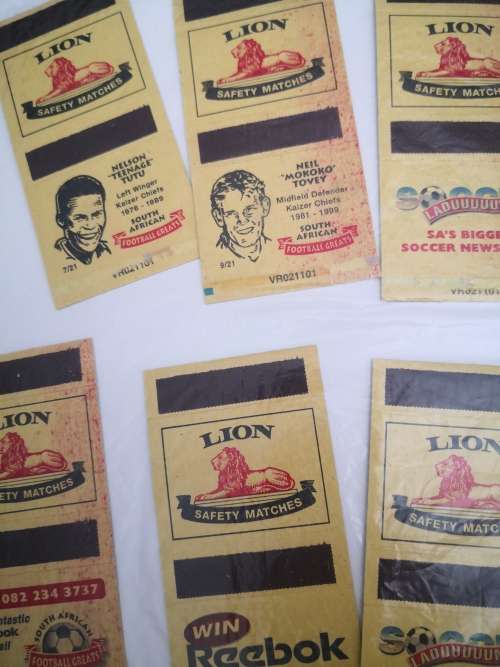 Lion Springbok Matchbox Collection