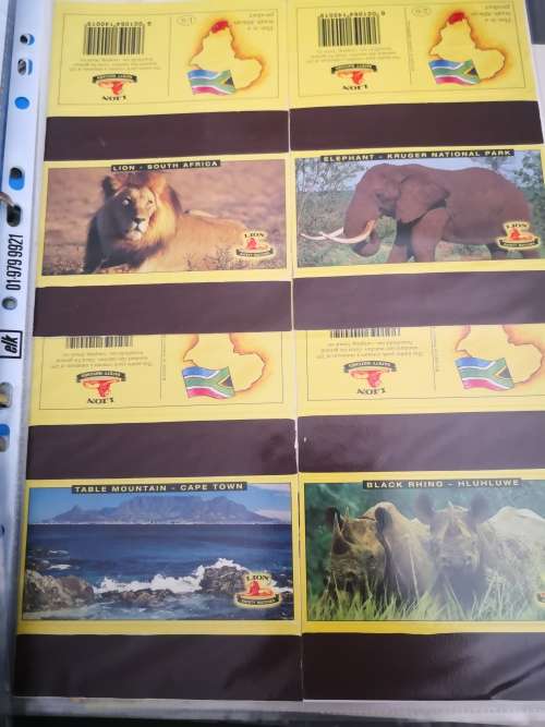 Lion Springbok Matchbox Collection