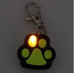 DOG TAG WITH LIGHT