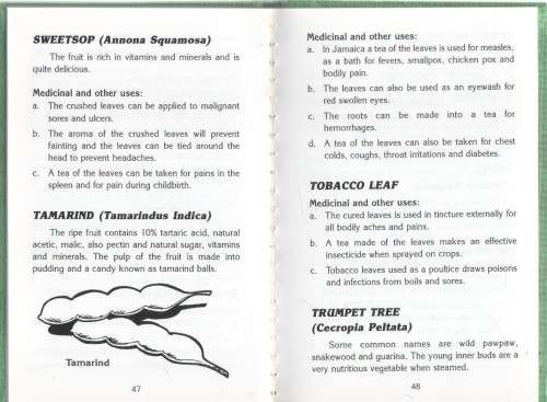 JAMAICAN HERBS AND MEDICINAL PLANTS AND THEIR USES - L MIKE HENRY & KEVIN S HARRIS 2003