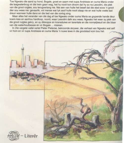 DIE VERGETE VALLEI - PIETER PIETERSE (JEUG - 1 STE UITGAWE 1992)