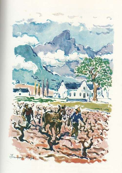 DIE WITWYNE VAN SUID-AFRIKA - W A DE KLERK - A A BALKEMA (1967)