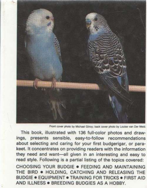 TAMING AND TRAINING YOUR FIRST BUDGERIGAR - RISA TEITLER (1988)