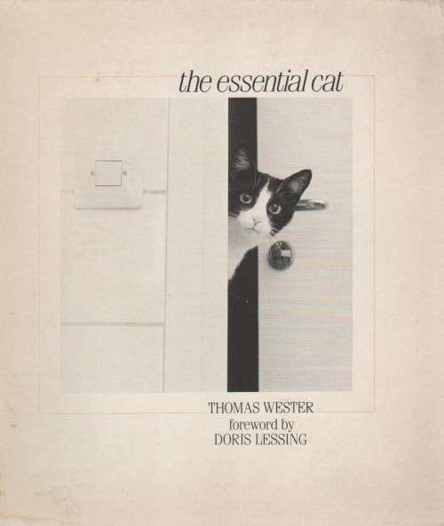 THE ESSENTIAL CAT - THOMAS WESTER (1988)