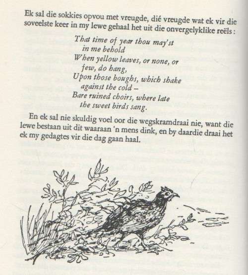 DIE BLYE DAE - AUDREY BLIGNAUT (6 DE DRUK 1971)
