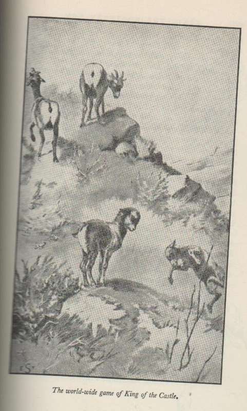 THE BEST OF ERNEST THOMPSON SETON   (2 ND IMPRESSION 1961)