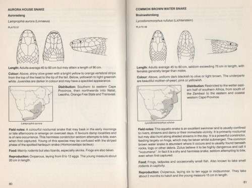 SNAKE VERSUS MAN - JOHAN MARAIS (1 ST EDITION 1985)