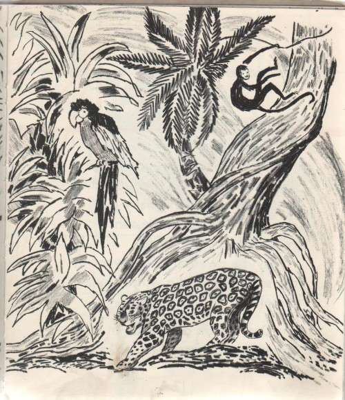 DIE JEUG SE BOEK VAN KENNIS OOR, - DIE OERWOUD - ILLA PODENDORF (APB -OUD)