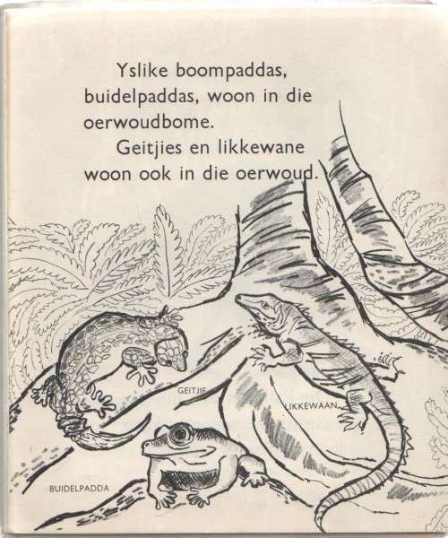 DIE JEUG SE BOEK VAN KENNIS OOR, - DIE OERWOUD - ILLA PODENDORF (APB -OUD)