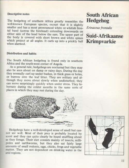 MABERLY'S MAMMALS OF SOUTHERN  AFRICA - RICHARD GOSS (1 ST PUBL 1986)