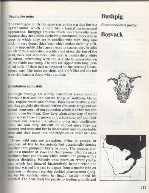 MABERLY'S MAMMALS OF SOUTHERN  AFRICA - RICHARD GOSS (1 ST PUBL 1986)