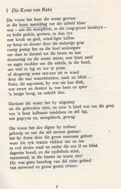 RAKA - N P VAN WYK LOUW (16 DE DRUK 1968)
