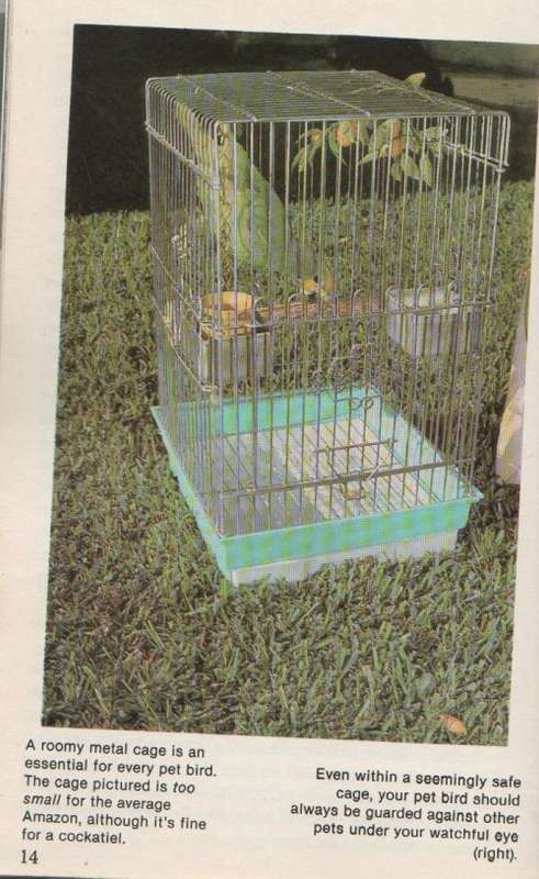 TAMING AND TRAINING AMAZON PARROTS - RISA TEITLER, PROFESSIONAL TRAINER (1979)