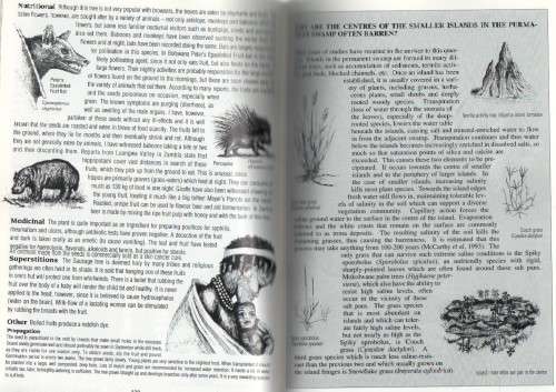 THE SHELL FIELD GUIDE SERIES: PART 1- TREES & SHRUBS OF THE OKAVANGO DELTA (1ST EDT 1998)