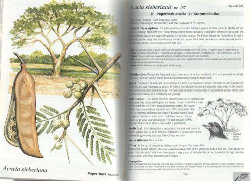 THE SHELL FIELD GUIDE SERIES: PART 1- TREES & SHRUBS OF THE OKAVANGO DELTA (1ST EDT 1998)