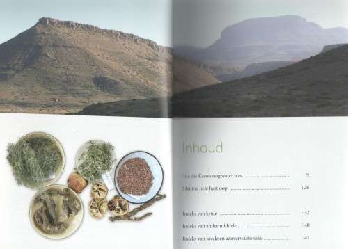 KRUIDJIE ROER MY NIE, DIE ANTIEKE HELINGSKUNS VAN DIE KAROO-VELD - ANTOINETTE PIENAAR
