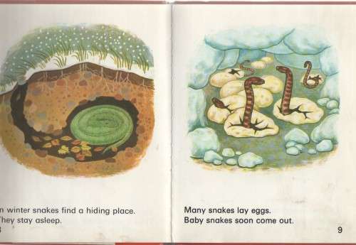 SNAKES - JENNIFER VAUGHAN  (1 ST PUBLISHED 1971)