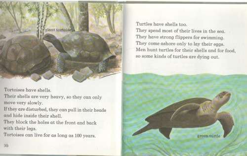 ANIMALS WITH SHELLS - MACDONALD FIRST LIBRARY (1 ST PUBLISHED 1973)