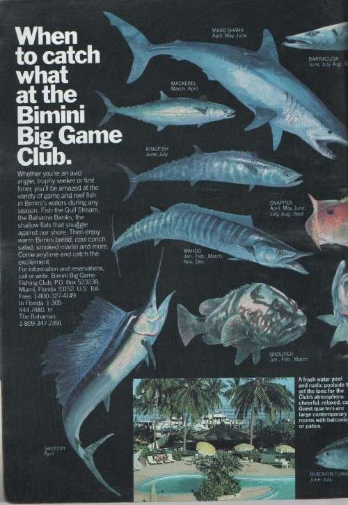 1986 WORLD  RECORD GAME FISHES - INTERNATIONAL GAME FISH ASSOCIATION