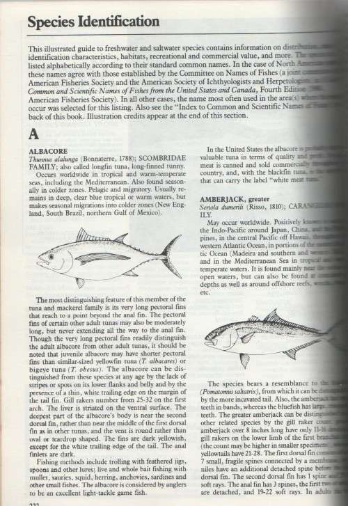 1986 WORLD  RECORD GAME FISHES - INTERNATIONAL GAME FISH ASSOCIATION