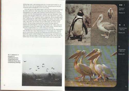 WATERVOELS VAN SUIDER-AFRIKA - PETER GINN & GEOFF MCILLERON (1 STE UITG 1982)