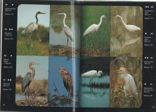 WATERVOELS VAN SUIDER-AFRIKA - PETER GINN & GEOFF MCILLERON (1 STE UITG 1982)