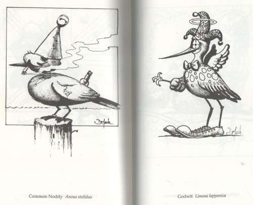 THE SECOND ILLUSTRATED SOUTH AFRICAN BYRD BOOK - DR JACK (1 ST PUBLISHED 1991)
