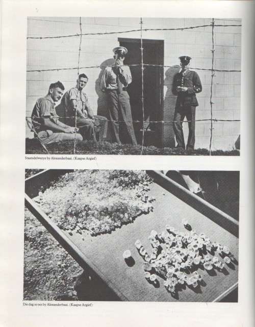 NAMAKWALAND, DORSLAND IN DIE BLOM - CHRIS JANSEN (1 STE UITGAWE 1981)