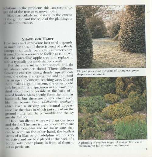 SHRUBS AND TREES - VRONI GORDON  (REPRINT 1999)