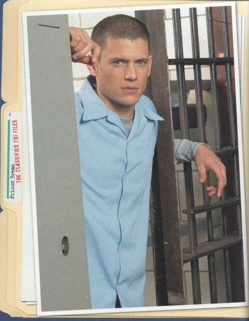 PRISON BREAK , THE CLASSIFIED FBI FILES - PAUL RUDITIS (2007)