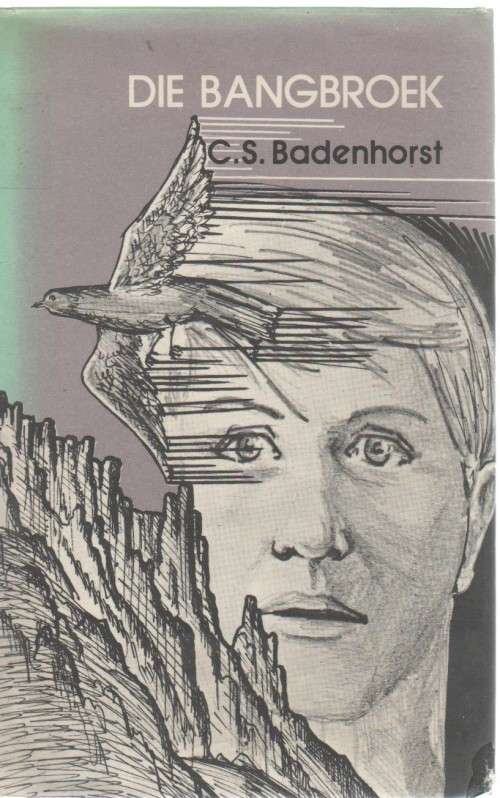 DIE BANGBROEK - C S BADENHORST (1 STE UITGAWE 1981)