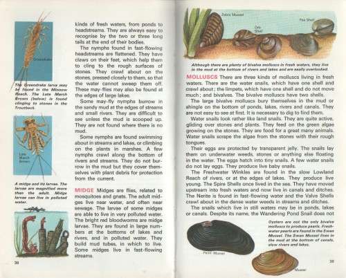 LIFE IN FRESH WATER - MACDONALD (REFERENCE LIBRARY - 1969)
