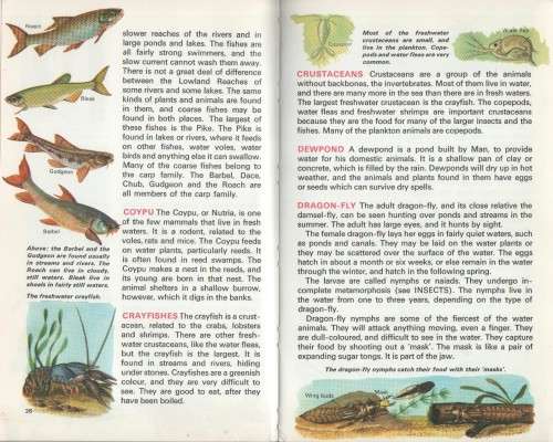 LIFE IN FRESH WATER - MACDONALD (REFERENCE LIBRARY - 1969)