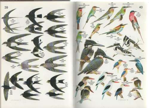 ROBERT'S BIRDS OF SOUTHERN AFRICA - GORDON LINDSAY MACLEAN (4TH EDITION 1985)