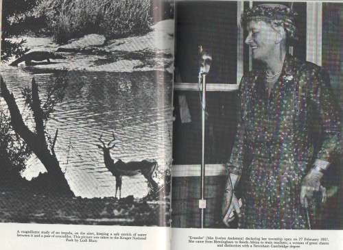 BETTER THAN THEY KNEW -  R M DE VILLIERS ( 1972)