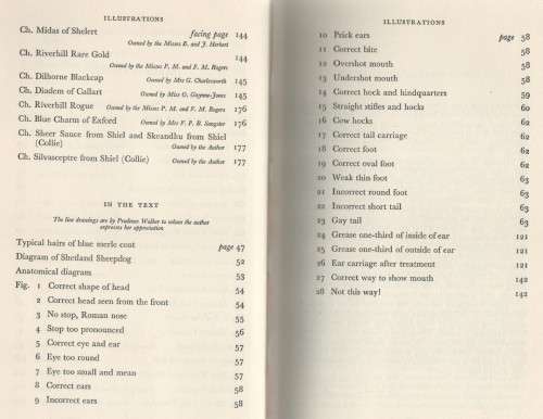 THE SHETLAND SHEEPDOG - MARGARET OSBORNE (5 TH EDITION 1973)