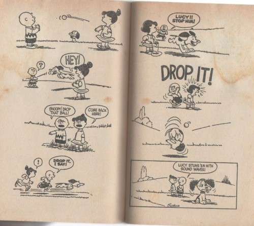 TWO CHARLIE BROWN PAPERBACKS BY CHARLES M SCHULZ