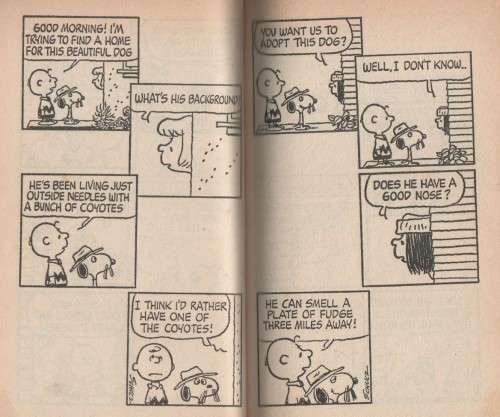 FIVE CHARLIE BROWN PAPERBACKS BY CHARLES M SCHULZ