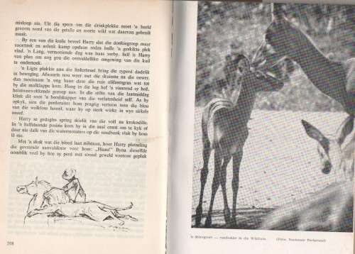 VELDWAGTER - HANNES KLOPPERS (JAGVERHAAL - (VOORWOORD 1967)