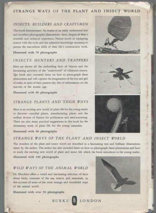 INSECTS- HUNTERS AND TRAPPERS - ROSS E HUTCHINS (1962)