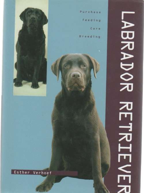LABRADOR RETRIEVER - ESTHER VERHOEF (2006)