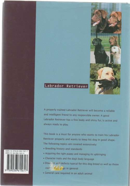 LABRADOR RETRIEVER - ESTHER VERHOEF (2006)