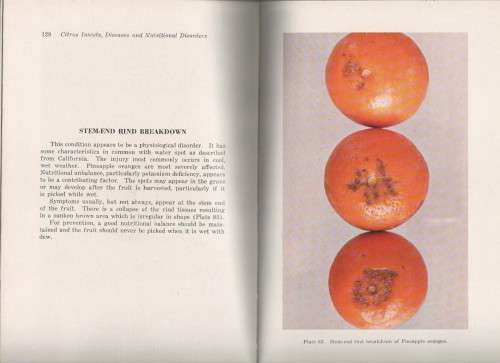 FLORIDAGUIDE TO CITRUS INSECTS, DISEASES AND NUTRITIONAL IN COLOR - ROBERT M PRATT (APRIL 1958)